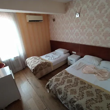 Отель Turvan 3*